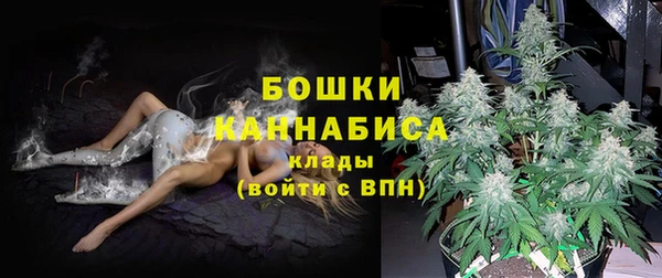 2c-b Краснослободск