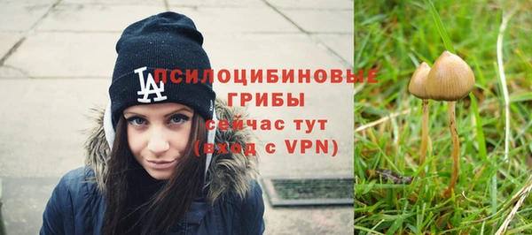 мет Красноперекопск