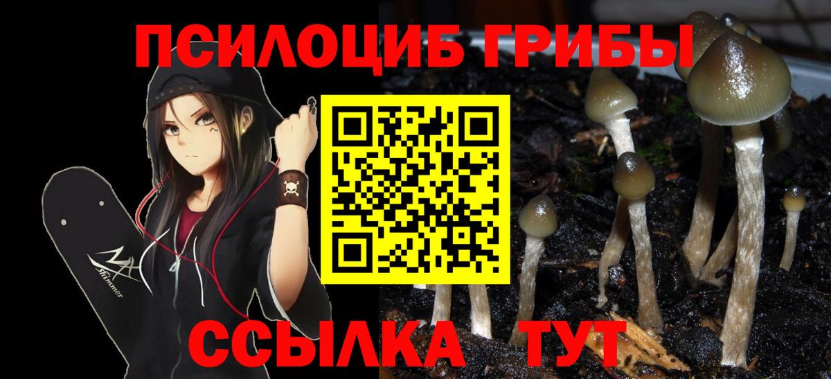 Галлюциногенные грибы мухоморы Екатеринбург
